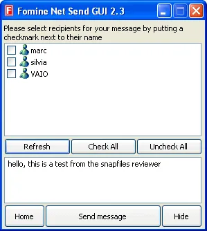 Fomine Net Send GUI スクリーンショット 1