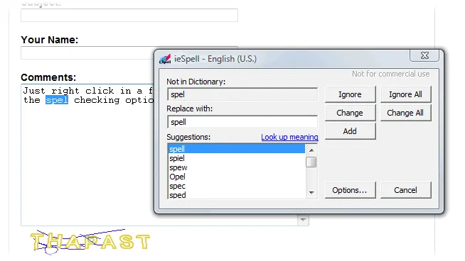 ieSpell スクリーンショット 2