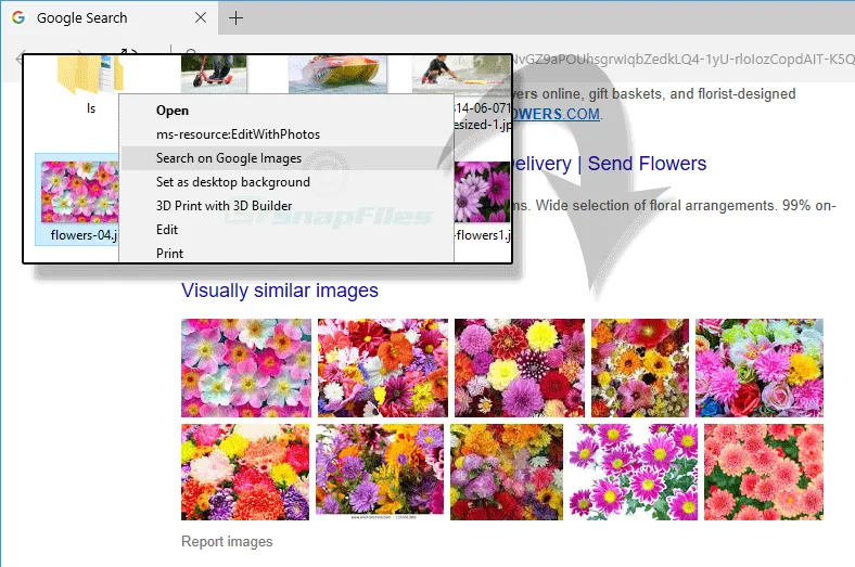 GoogleImageShell スクリーンショット 1